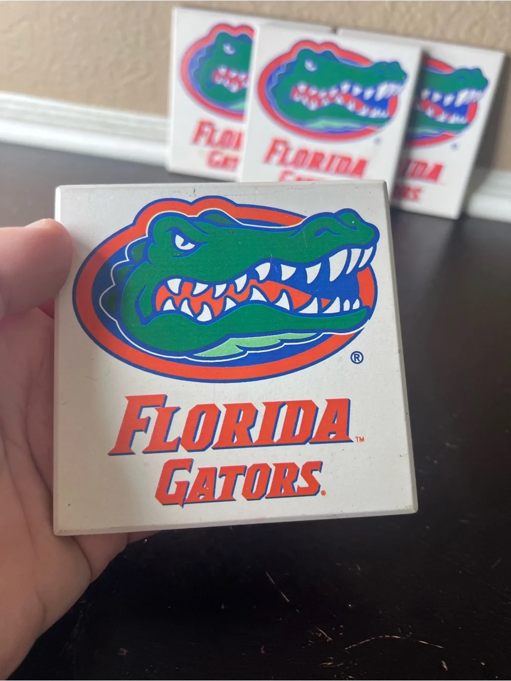 Florida Gators vintage florida